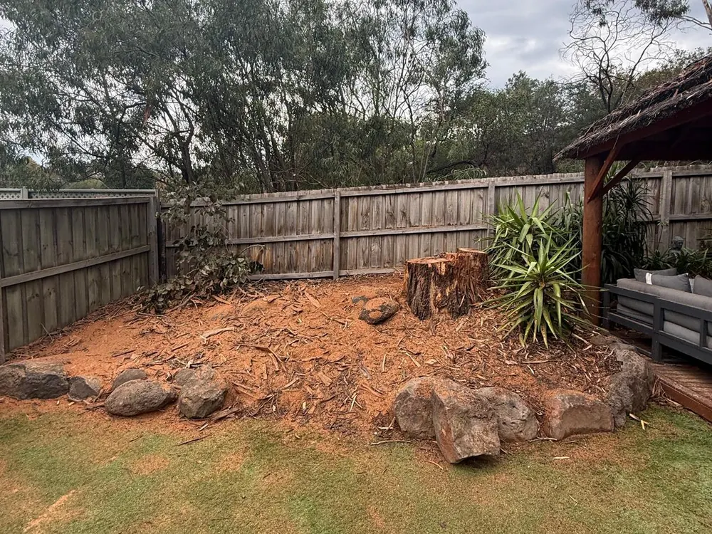Freshly mulched garden bed with feature rocks and new planting