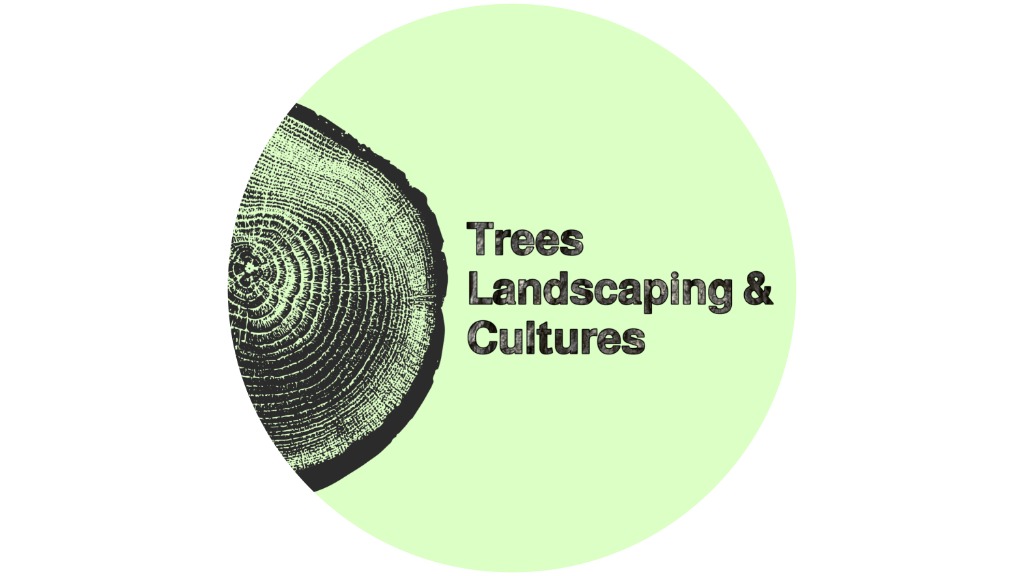 TLSC Logo